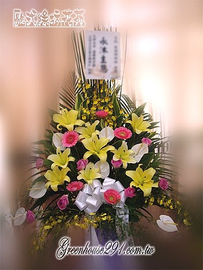 林口花店 三峽花店 鶯歌花店 林口花店 三峽花店 鶯歌花店